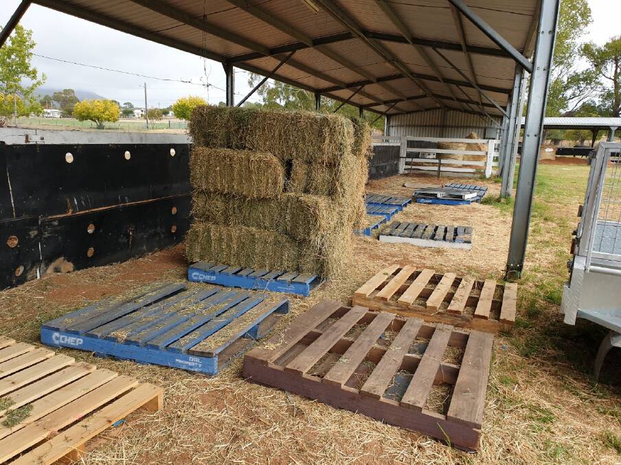 Police are investigating the theft of 100 small bales of lucerne hay taken from the Tenterfield Showground. Photo supplied by NSW Police.