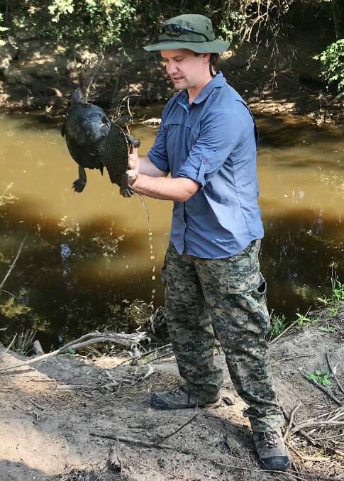 SNAPPED UP: Geoff Hughes, studying his PhD at UNE, holding turtles at Bendemeer during a talk with school children on the Macdonald River. PHOTO: Supplied