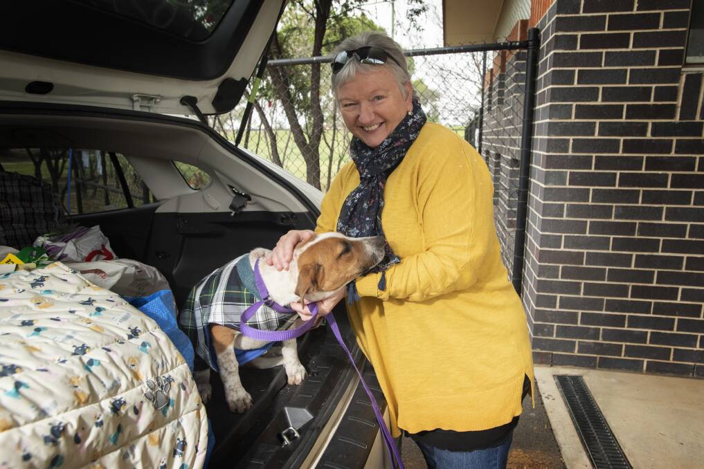 TRIP OF LOVE: Rescue Resources volunteer Judy Millar made trips to Tamworth and Quirindi, dropping off essential items at pounds and rescue homes. Photo: Pete Hardin
