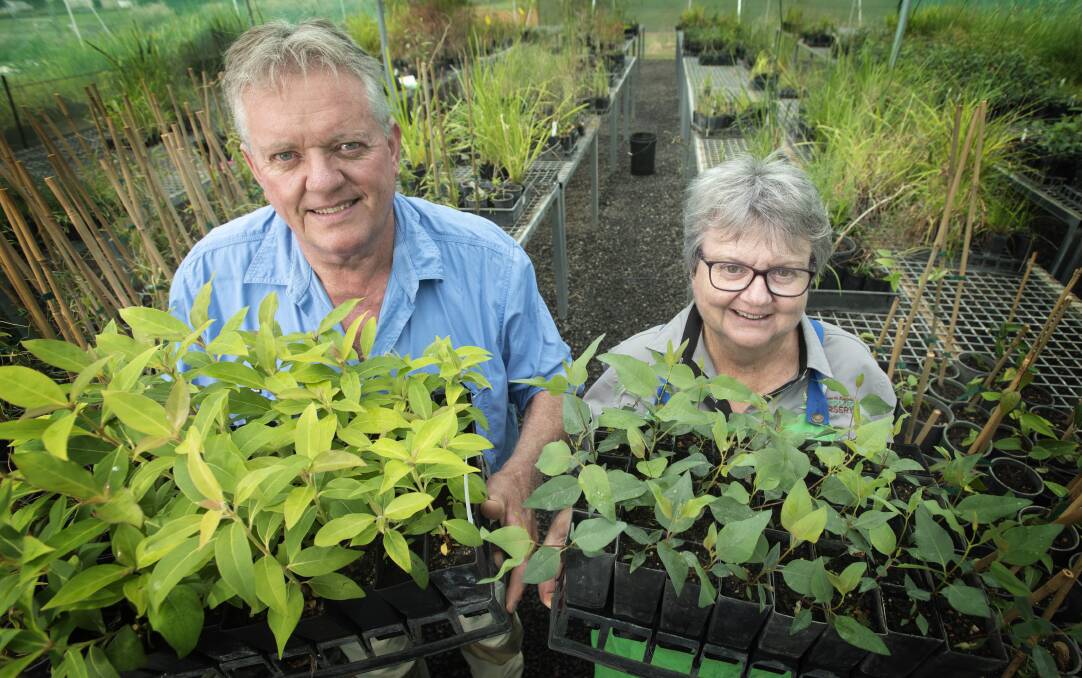 READY: Tamworth Nursery's Guy McIntosh and Julie Clancy are getting ready for Sunday's planting extravaganza. Photo: Peter Hardin
