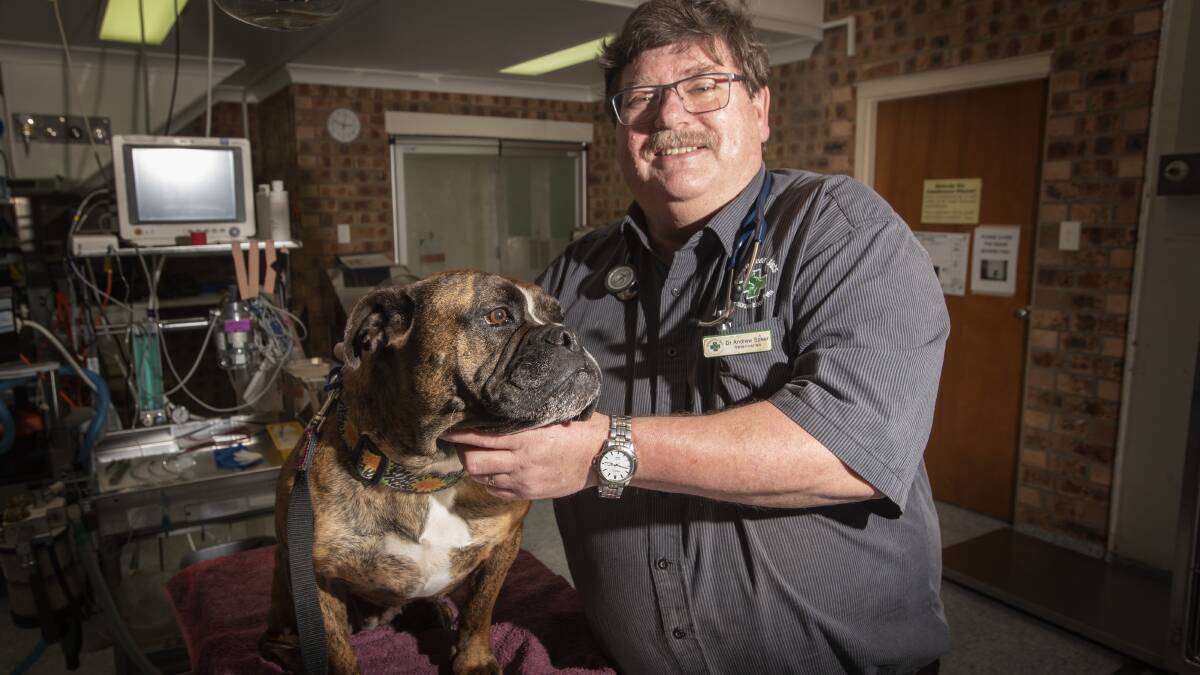 AWARE: South Tamworth Greencross vet Andrew Speer and pooch Rosie urge owners to learn what common plants can poison their four-legged friends. Photo: Peter Hardin