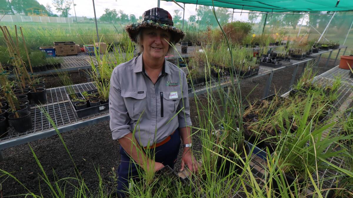 AMAZING: Tamworth Urban Landcare Group project manager Anne Michie was amazed at the turn out on Sunday. Photo: Jacinta Dickins