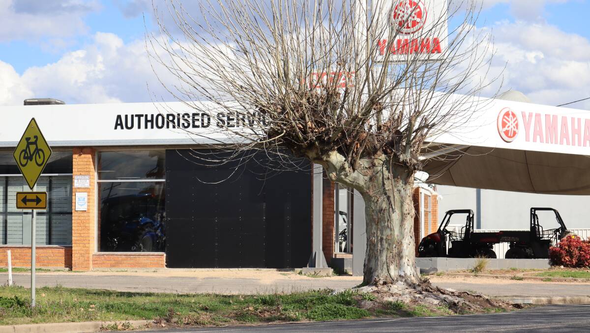 Police have caught and arrested a group of young people who used a stolen QLD vehicle to ram raid an Inverell business on Thursday. 