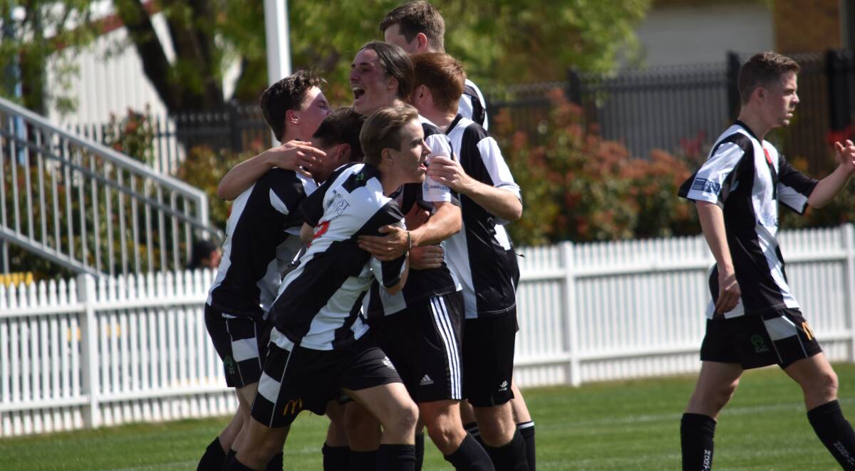 INTO THE BIG DANCE: North Companions have moved a step closer to recreating scenes like this one from last season's Premier League reserve grade grand final by winning Saturday's major semi-final. Photo: Ben Jaffrey 