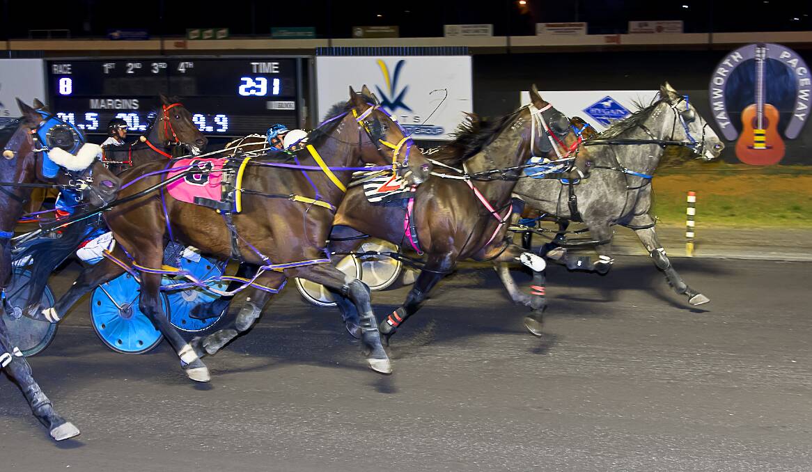 FAMILY AFFAIR: Shakeitup storms home to take out race eight at Tamworth on Friday night. Photo: PeterMac Photography 