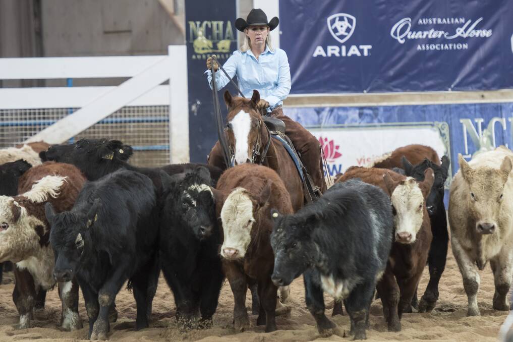 BUSH SPIRIT: The region's farmers have helped make this year's NCHA Futurity one of the best yet by donating scores of high quality cattle. Photo: Peter Hardin 050619PHD195 