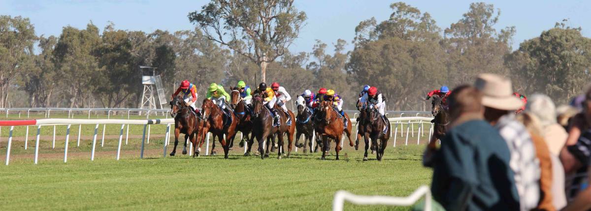 SPRING FEELING: The Gunnedah Jockey Club is hoping for a big crowd at its first-ever Cox Plate Day meeting. 