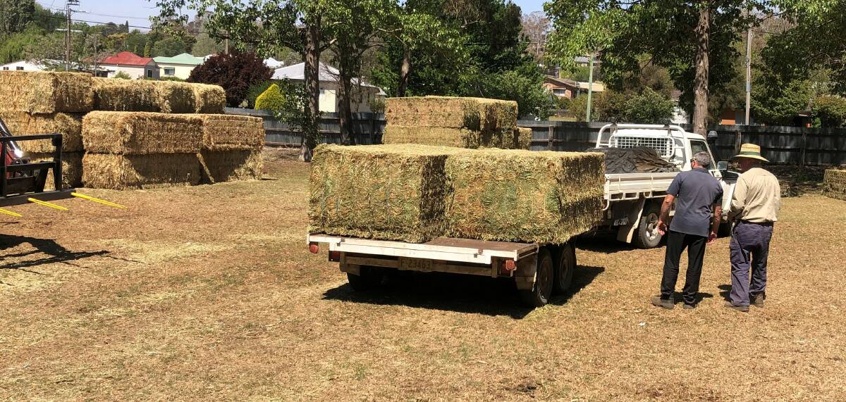 UP FOR GRABS: Bushfire-stricken producers have been claiming emergency fodder at Walcha and Glen Innes over the past several weeks. Photo: Supplied 