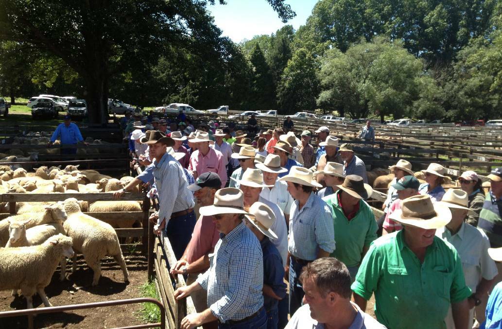 BOOST: The Armidale and Guyra saleyards will both benefit from $2.5 million of federal government funds. Photo: File photo 