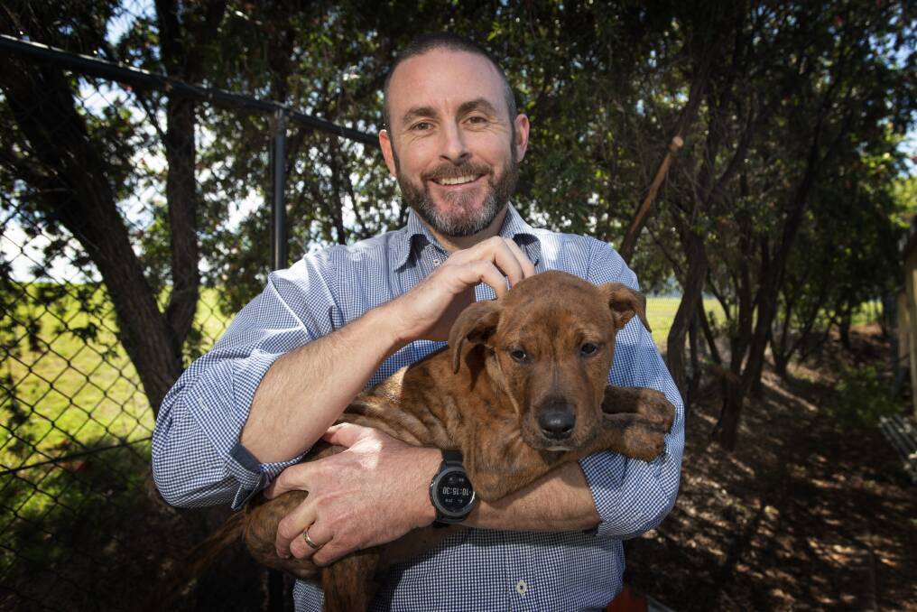 POOCH PROTECTION: Tamworth Regional Council's Ross Briggs is urging all pet owners to take advantage of the council's event. Photo: Peter Hardin 271020PHB016
