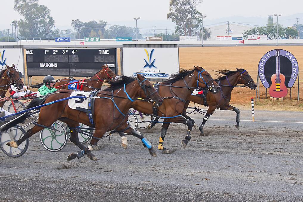 MOVING ON UP: Gotta Rush proved too good in its victory at Tamworth on Sunday. Photo: PeterMac Photography 