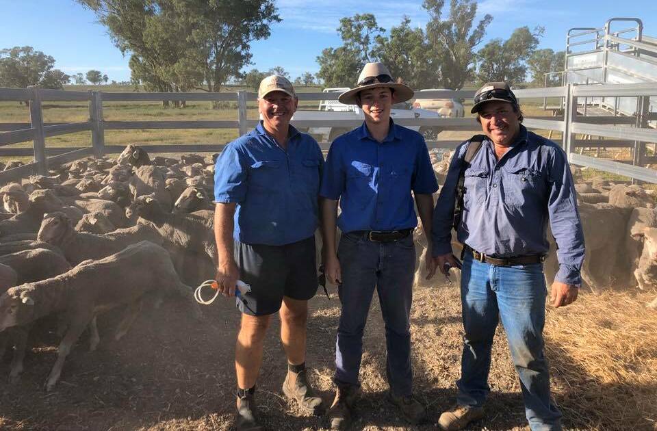 A NEW ERA: McCulloch Agencies has helped import between 30 to 40 thousand sheep from Western Australia to farms across the region. Photo: Supplied 