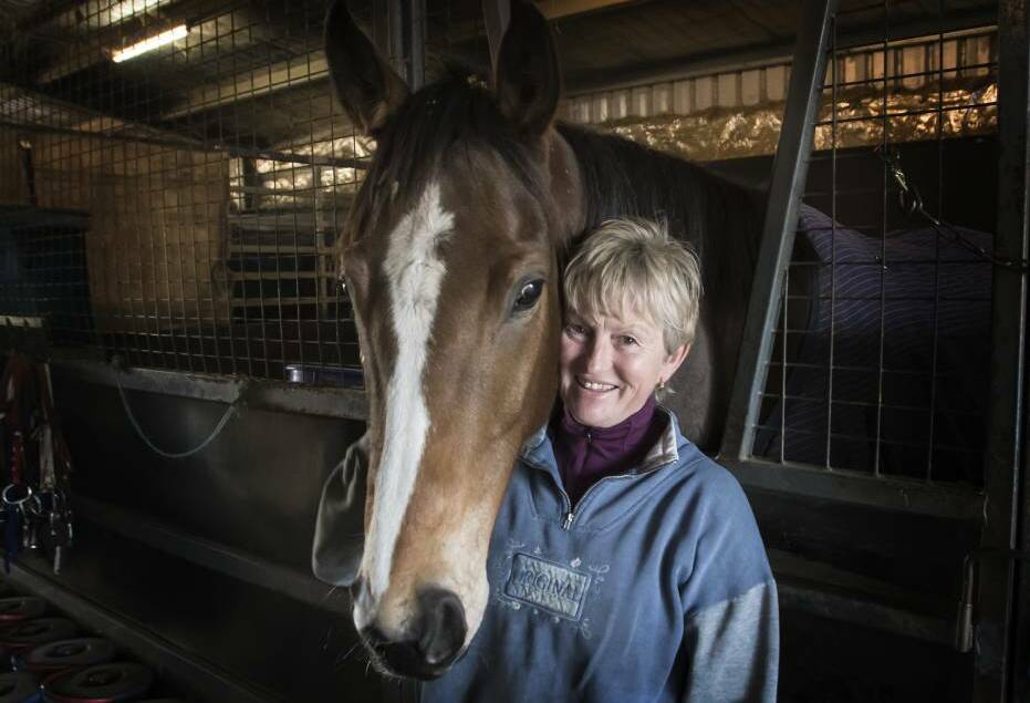 HOT COMPETITION: Tamworth trainer Sue Grills is among several local trainers to nominate for Sunday's $150,000 Hunter and North West Racing Association Country Championships Qualifier (1400m) at Tamworth. Photo: Peter Hardin