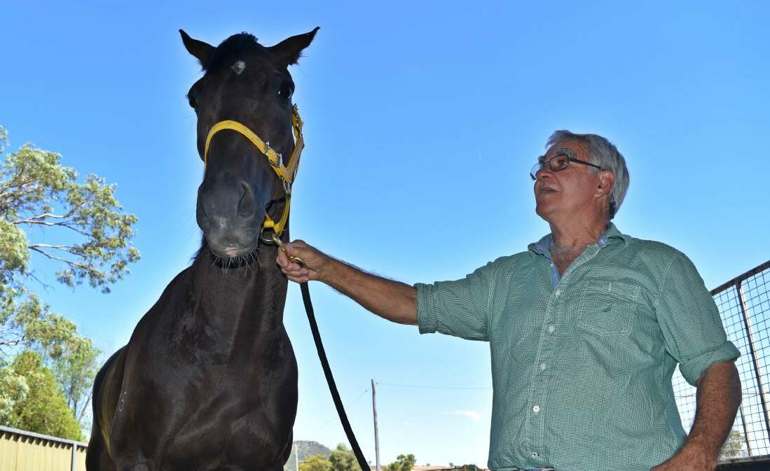 PREPARED: Geoff O'Brien will have two runners in Saturday's Willow Tree Cup in Quirindi. Photo: Ben Jaffrey 