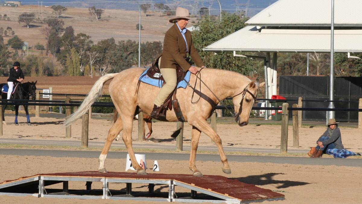 READY TO GO: The Working Equitation National Championships will return to Tamworth for the second time. Photo: Supplied 