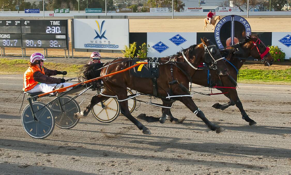 DOUBLE ACT: Dean Chapple guides Pilot Pete to victory in Tamworth. Photo: PeterMac Photography 