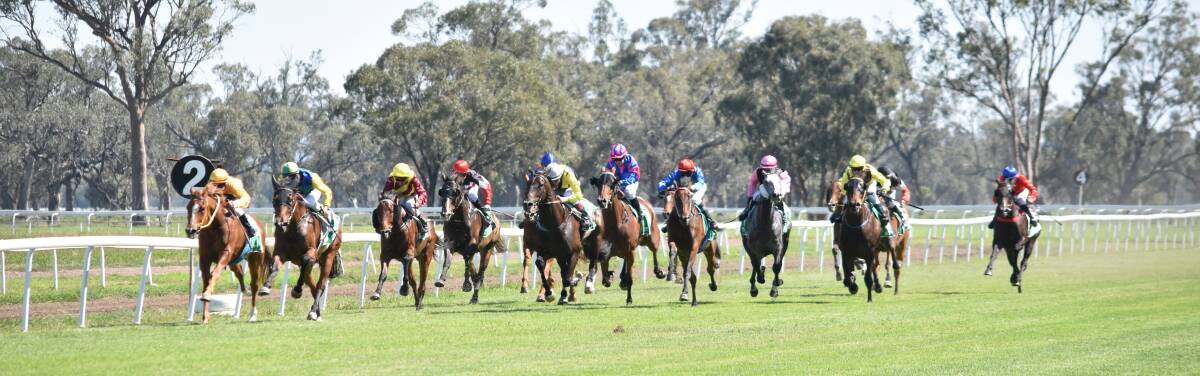 CANCELLED: The 2019 Somerton Cup meeting was abandoned after a trial gallop on Monday morning deemed the Gunnedah track unsafe. Photo: File photo 