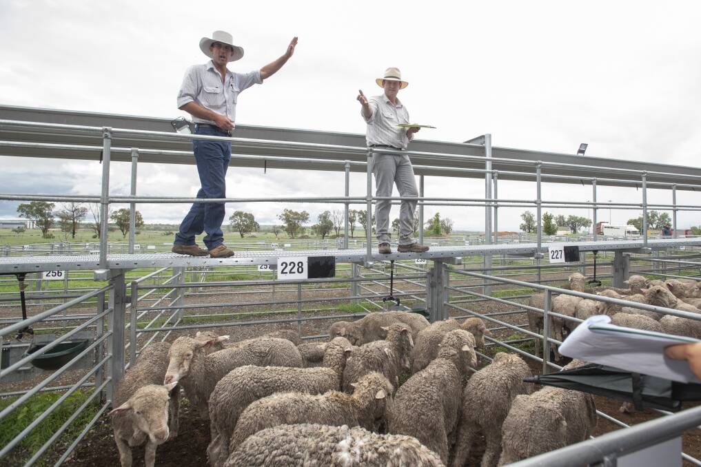 NEW GUIDELINES: Only pre-approved buyers, transporters, agents and staff will be allowed into the Tamworth saleyards under new COVID-19 restrictions. 