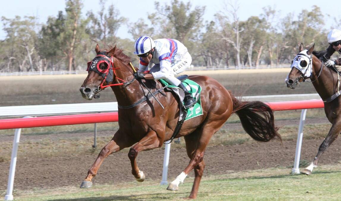 STRONG FINISH: Red Liberty powers home to take out race seven in Gunnedah on Tuesday. Photo: Bradley Photos 