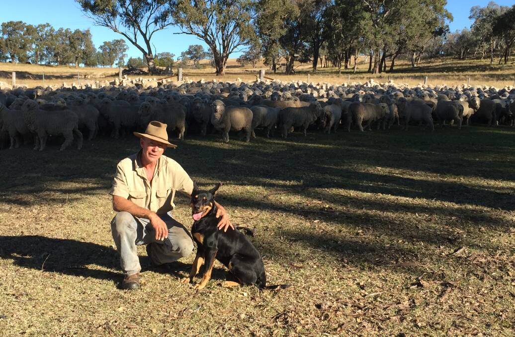 MAJOR BOOST: AWI North East NSW wild dog management co-ordinator Dave Worsley is among the Walcha shire producers that will benefit from the funds. Photo: Supplied

