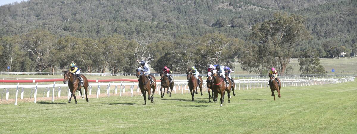 BIG DAY: Geoff O'Brien will be hoping his mare Mahlia can improve on her last run in Quirindi (pictured) at Wednesday's Boxing Day race meeting.  