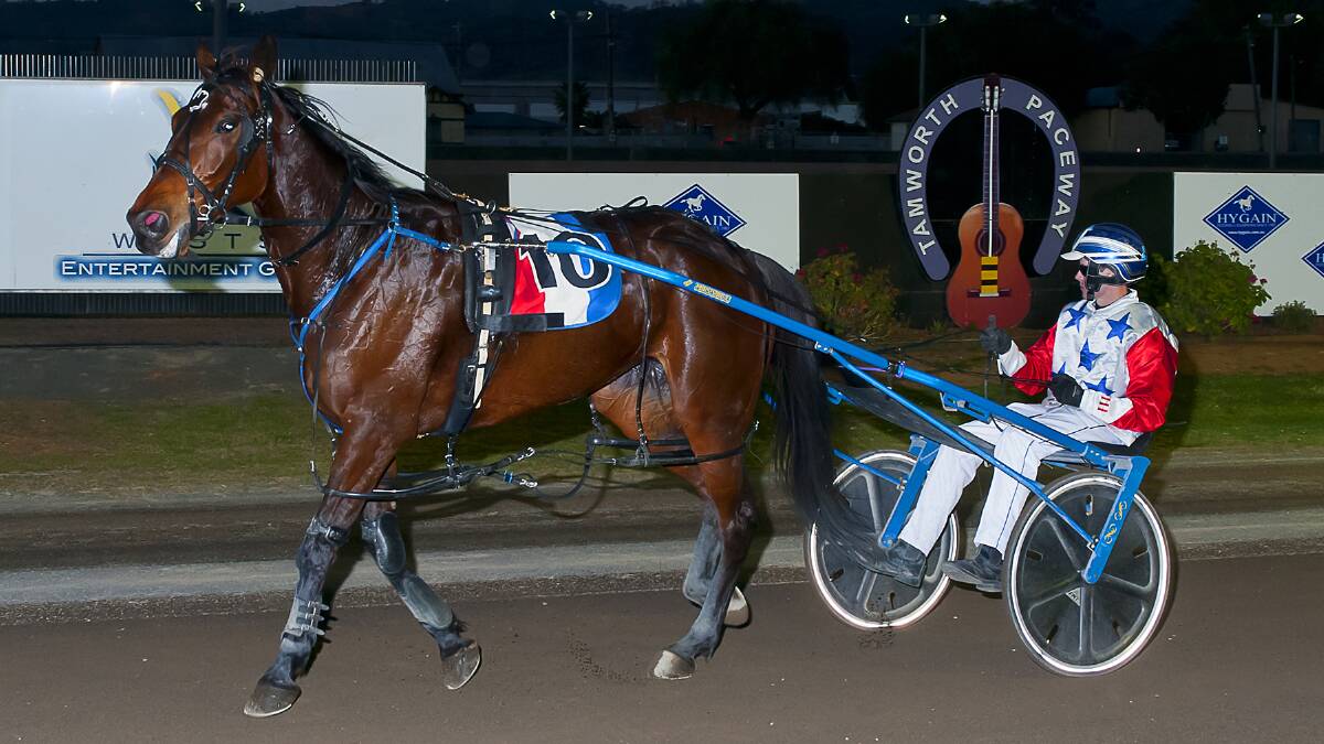 BIG WIN: Hedges Avenue saluted for Tamworth trainer Ernie Mabbott on his home track. Photo: PeterMac Photography 
