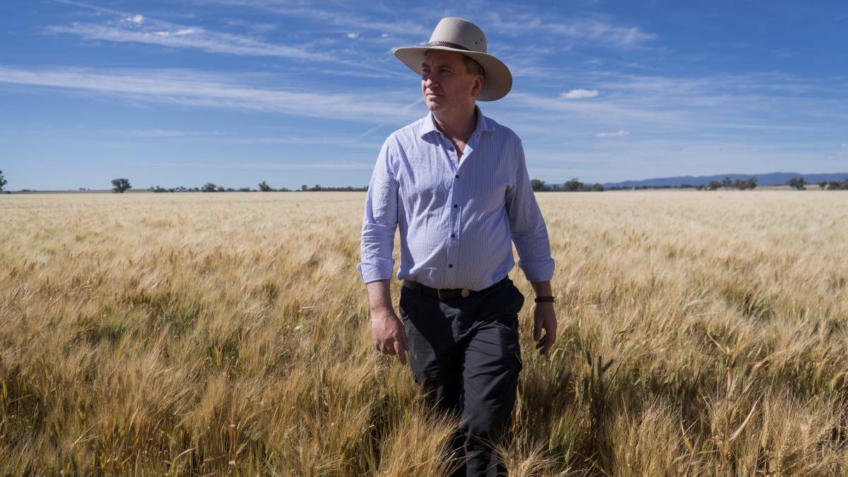 A LOT ON OFFER: New England MP Barnaby Joyce is encouraging those who have lost their job during the COVID-19 pandemic to take up work in the agriculture sector.
