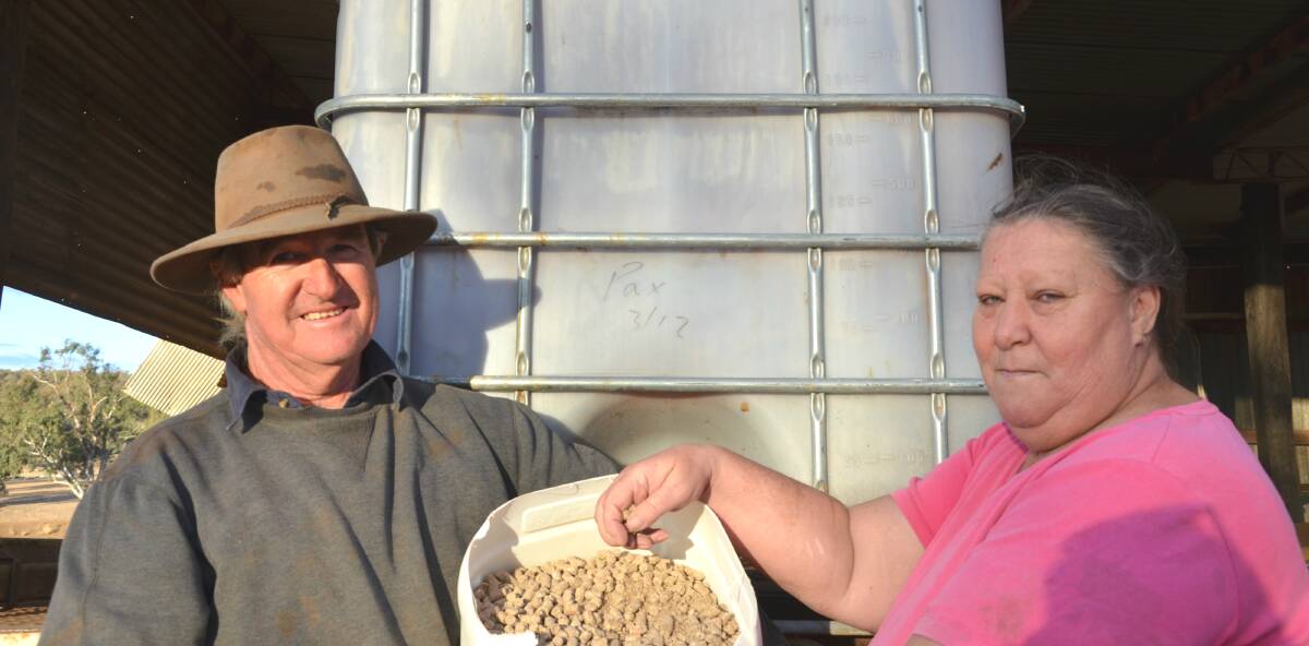 HELPING HAND: Les and Laura Jones are among seven Goolhi Road farmers set to receive drought assistance from rural charity Aussie Helpers. Photo: Billy Jupp  