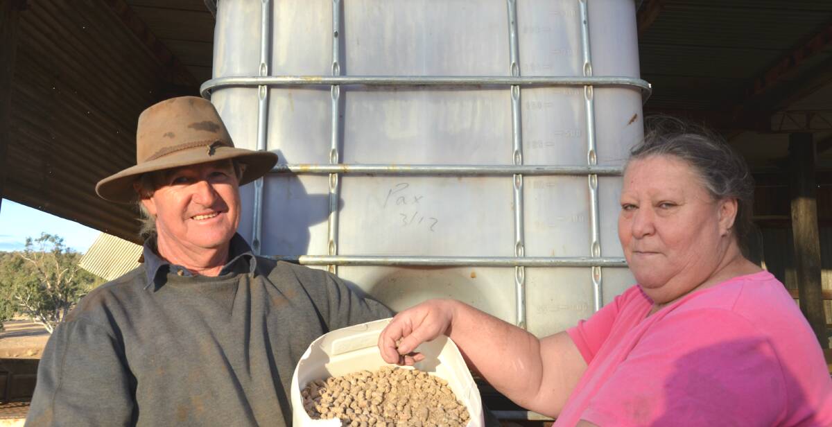 DROUGHT: Goolhi's Les and Laura Jones say it's too late for them to see a benefit from a freight subsidy. Photo: Billy Jupp 
