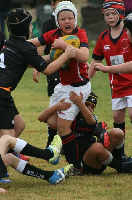 Photos supplied by Gunnedah Junior Rugby Union Club. 