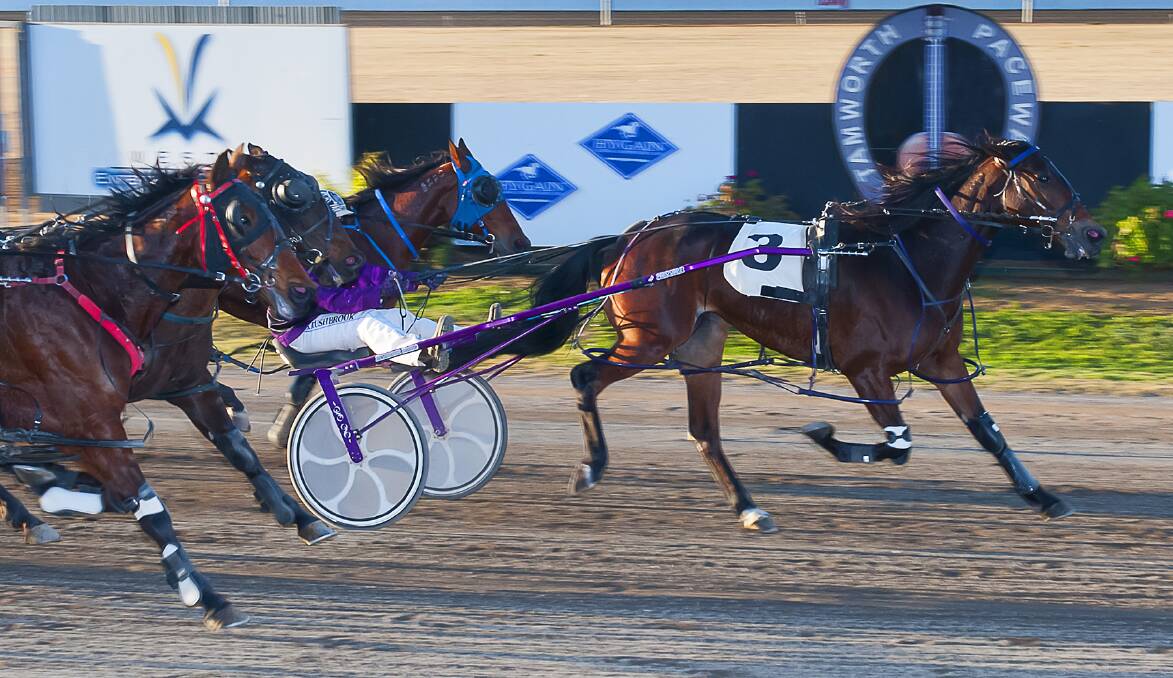 DOUBLE ACT: Gotta Rush storms home to claim its fourth career win and owner, trainer, driver Sarah Rushbrook's first-ever double as a driver. Photo: Peter Mac Photography 
