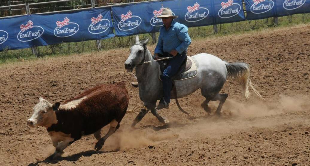 BACK ON TRACK: The Upper Horton rodeo and campdraft event will return on New Year's Eve after being cancelled last year. 