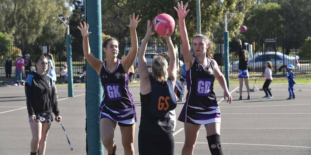 ON THE RADAR: The Gunnedah Netball Association is eager to return to the court this year. Photo: Billy Jupp