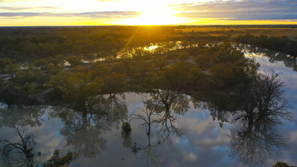 DYING DARLING: A bend in the Darling River, a critical artery in the vast river system of the Murray-Darling Basin. Picture: John Hanscombe
