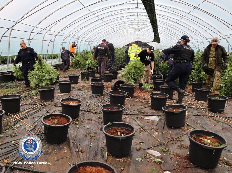 SEIZED: The location of the massive drug bust at Coonabarabran, where more than 19,000 cannabis plants were seized worth almost $70 million. Picture: NSW POLICE