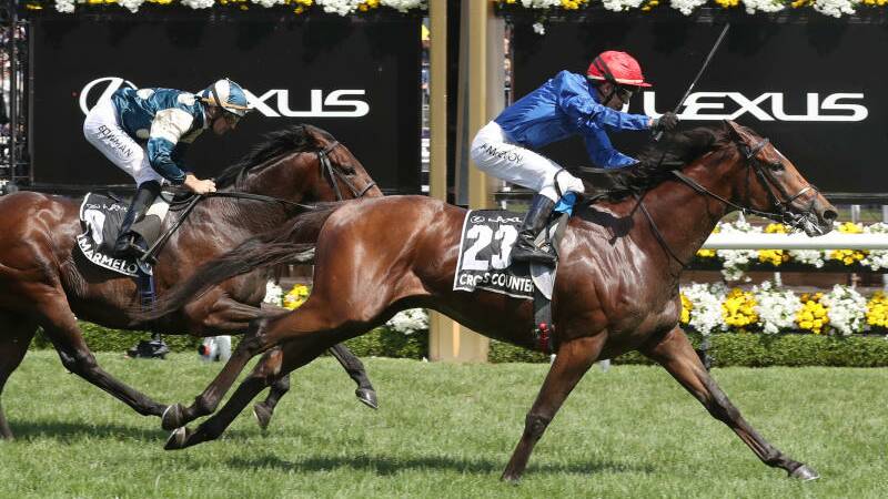 Cross Counter ridden by jockey Kerrin McEvoy wins the 2018 Melbourne Cup. Photo: AAP Image, Dave Crosling