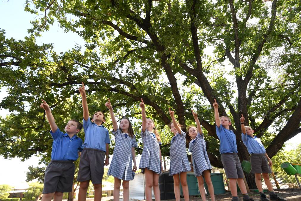 The Year 2 students, including Luke Godwin, Henry Ingall, Vanessa Langan, Sophie Weir, Sophie Celovic, Amelia McGinty, Nate Harvey and Brooklyn Le-Brocq-Watton - who are pictured in front of what's known as the John Treloar oak tree - have loved getting out and hunting for clues about their school's history, such as plaques on the walls. 200318GGB021