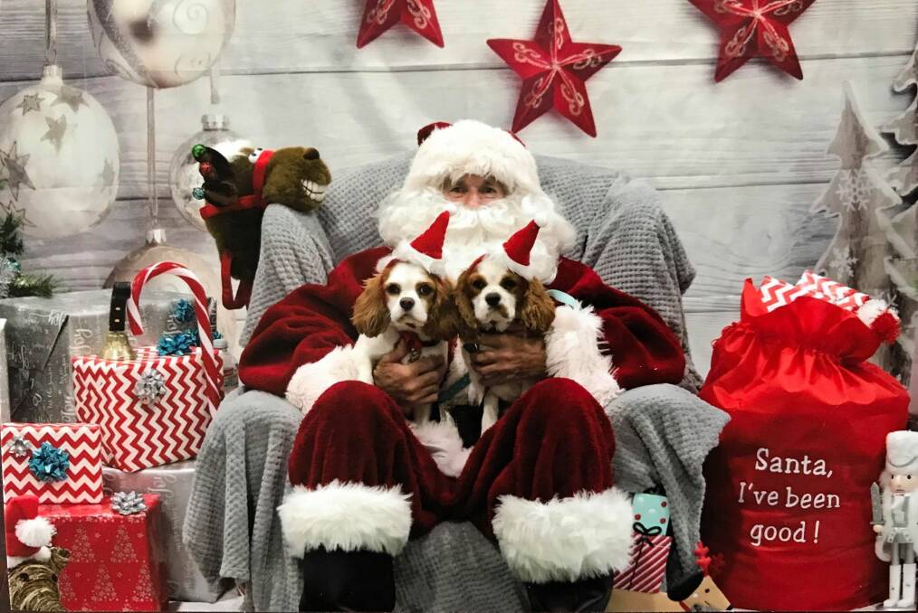 On the nice list: Santa with a couple of furry friends at Pets Domain on Bridge Street, which is raising money for local animal rescue efforts.