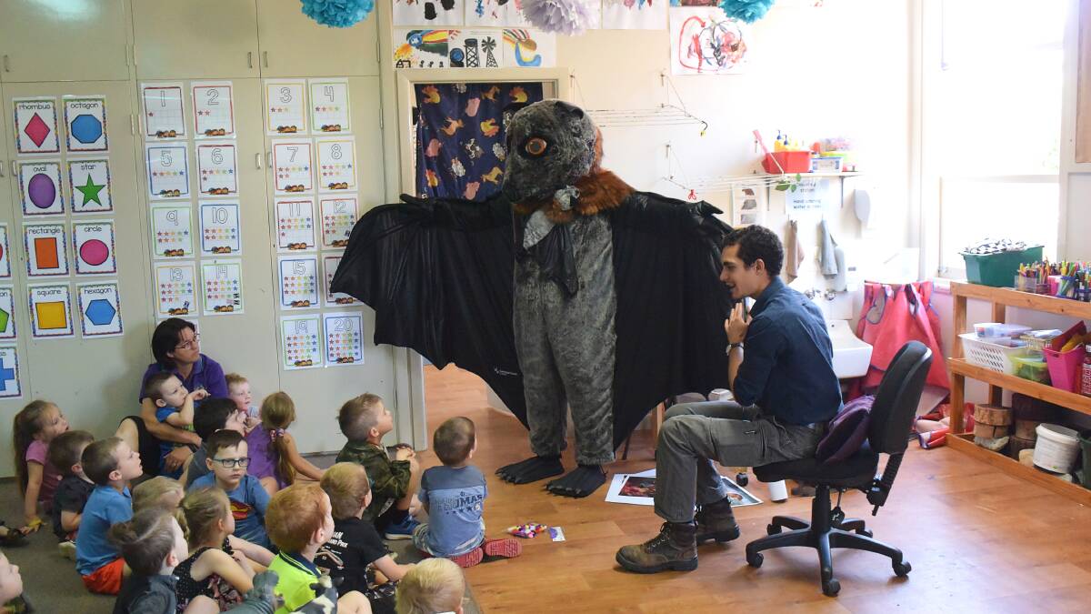 Flying fox Frankie goes to preschool to educate kids on her kind