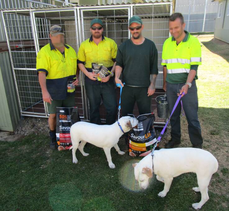 PUPPY POWER: Four inmates will be responsible for training the dogs for at least six weeks, until they are ready to be adopted into a permanent home. Photo: supplied