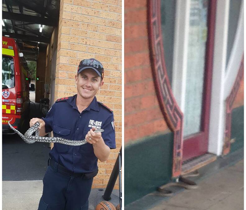 STRANGE SPOTS FOR SNAKES: Aaron Hall with the python in Tamworth, left, and the Gunnedah CBD visitor, right.