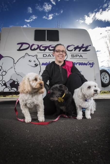 Young Entrepreneur award finalist Amy Gilpin with dogs Honey, Oscar and Sam. Photo: Peter Hardin 260717PHA027