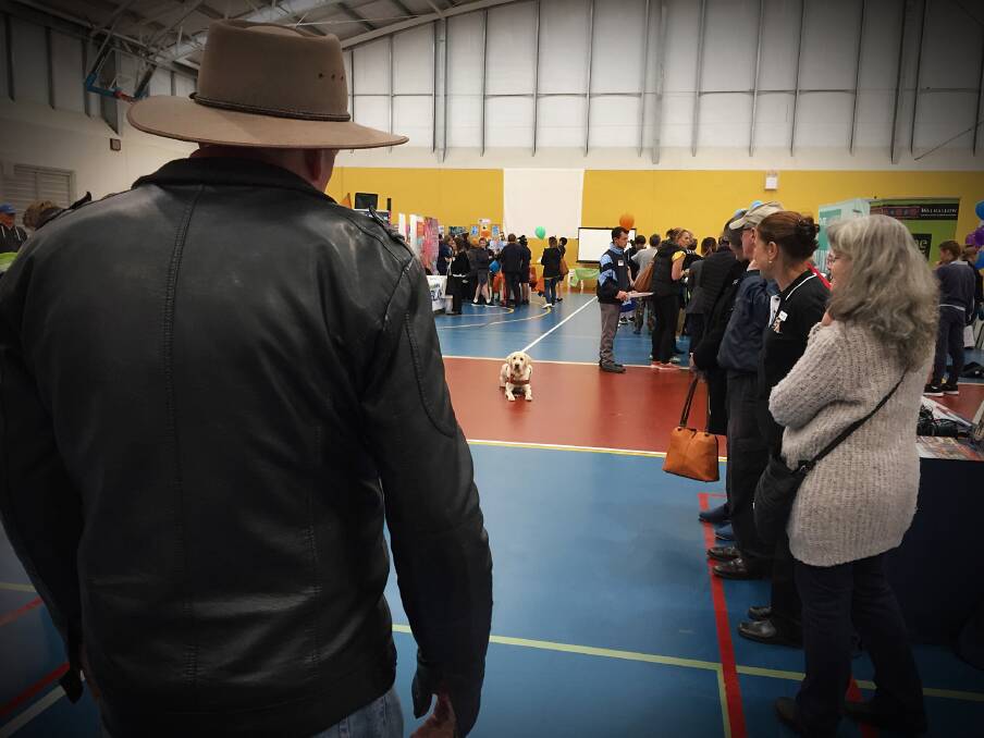 STAY: At the Guide Dogs NSW/ACT stand, Phillip Tilley put the training of his guide dog Nelson to the test, leaving him in the middle of the hall for almost a minute until a command to return. Photo: Carolyn Millet