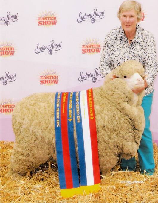 INCOMPARABLE FEELING: Walcha’s Alison van Eyk has been a very successful sheep and wool exhibitor for about 15 years.