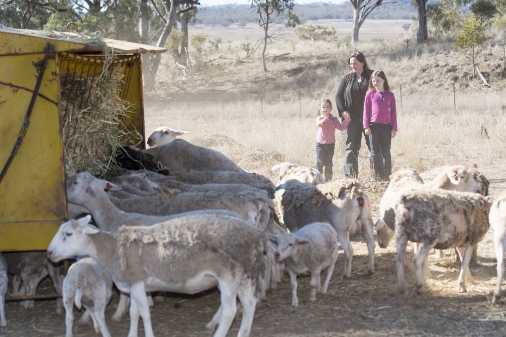 Family drive 1000km to show farmers they care | The Big Dry