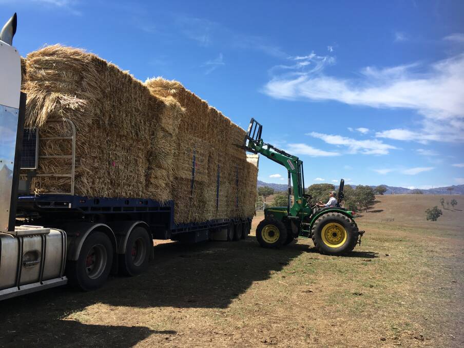 McCloy Group, McDonald Jones Homes and Wests Group teamed up to buy the hay from WA, then send it to their chosen drought-affected areas, including Wallabadah.