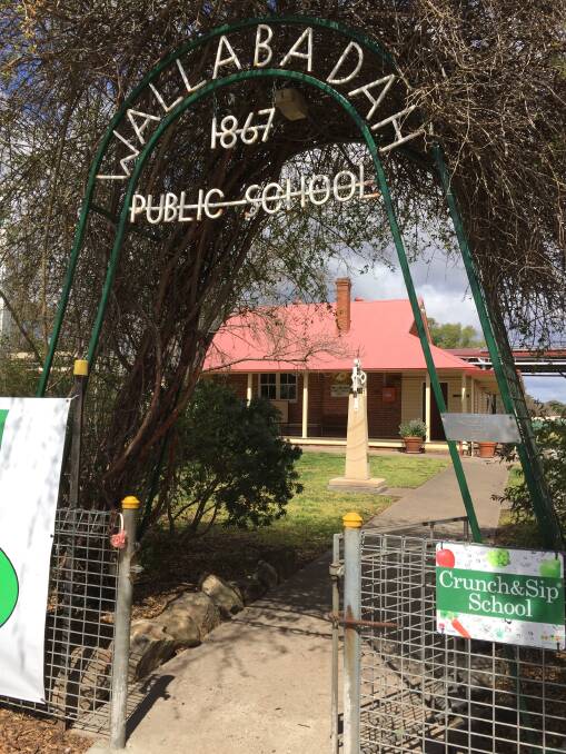 Just a small selection of photos from the past of Wallabadah Public School