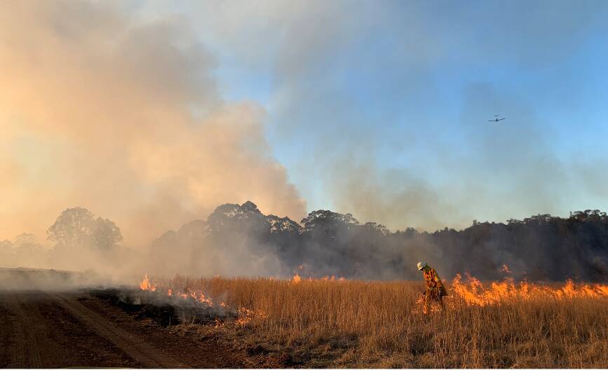 BLAZING A TRAIL: A firefighter undertakes a backburning operation. Photo: NSW RFS