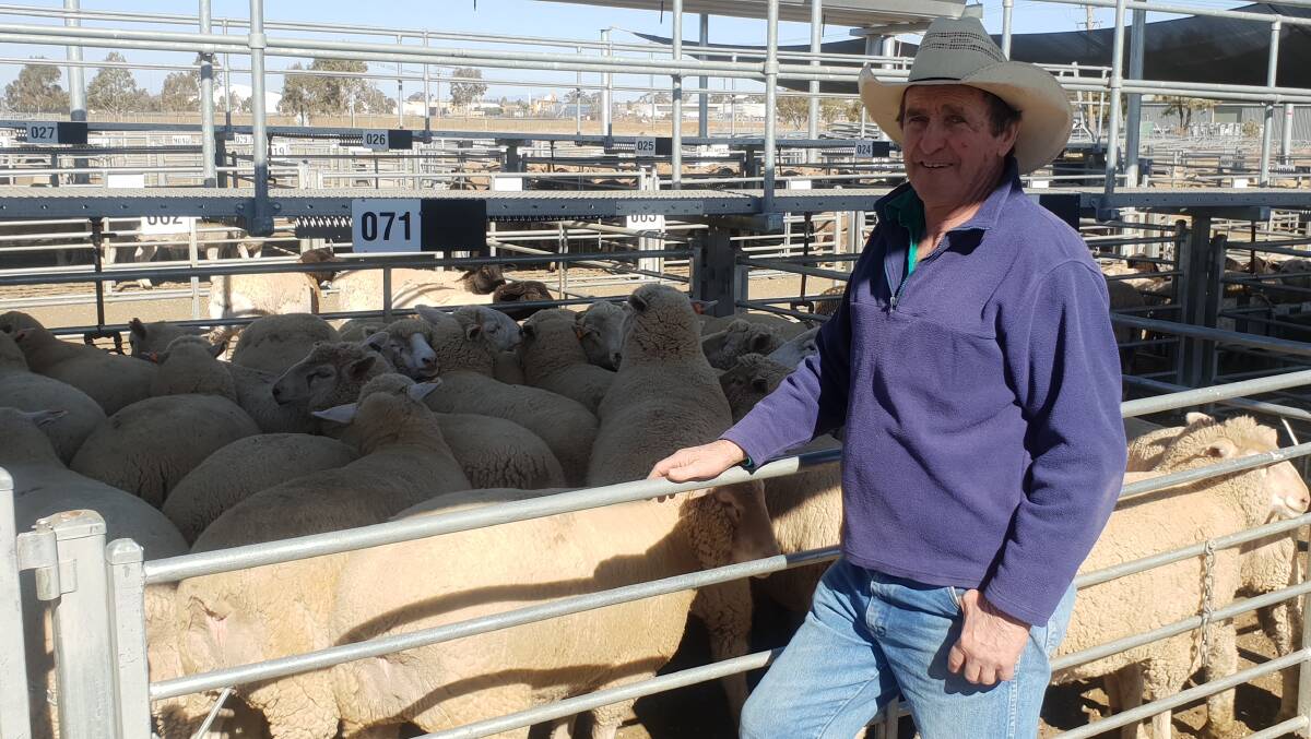 NEW HIGH: Stewart Steiger, of the property Tarakan at Upper Bingara, with the family's national record-breaking pen of lambs. 