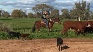 Ben Booth in his workplace - the long paddock.